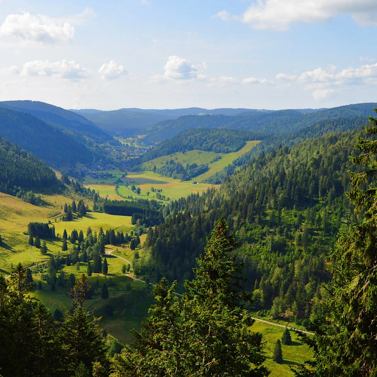 Menzenschwand Hotel Waldeck Feldberg Schwarzwald Ferienunterkunft Urlaub